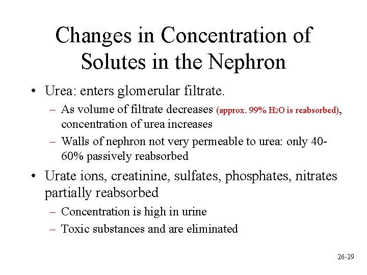 Changes in Concentration of Solutes in the Nephron • Urea: enters glomerular filtrate. –