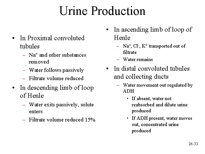 Urine Production • In Proximal convoluted tubules – Na+ and other substances removed –