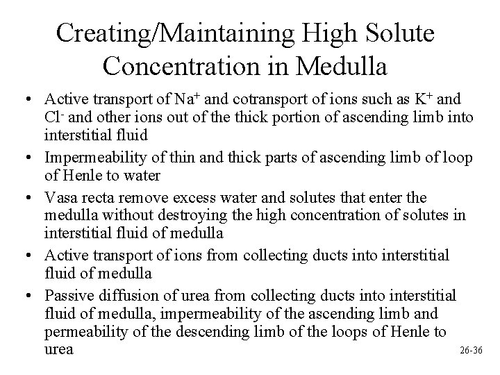 Creating/Maintaining High Solute Concentration in Medulla • Active transport of Na+ and cotransport of