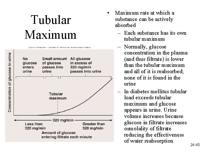 Tubular Maximum • Maximum rate at which a substance can be actively absorbed –