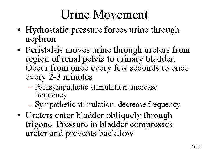 Urine Movement • Hydrostatic pressure forces urine through nephron • Peristalsis moves urine through