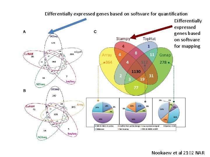 Differentially expressed genes based on software for quantification Differentially expressed genes based on software