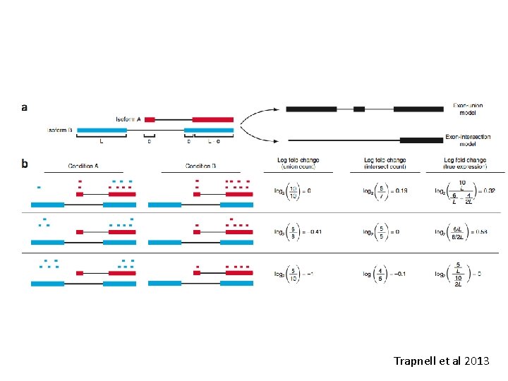 Trapnell et al 2013 