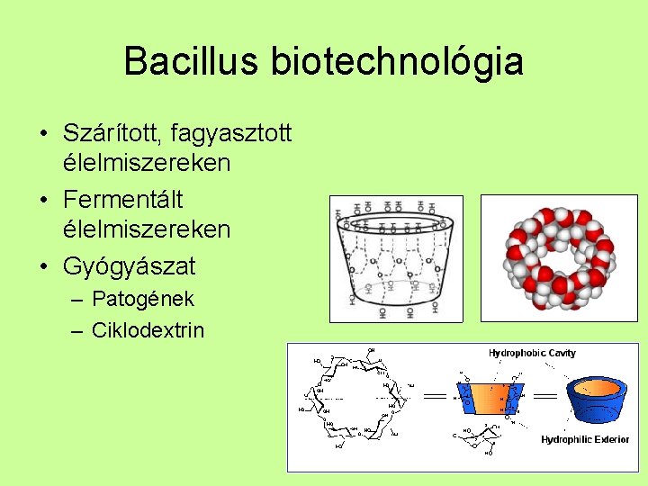paraziták és biotechnológia