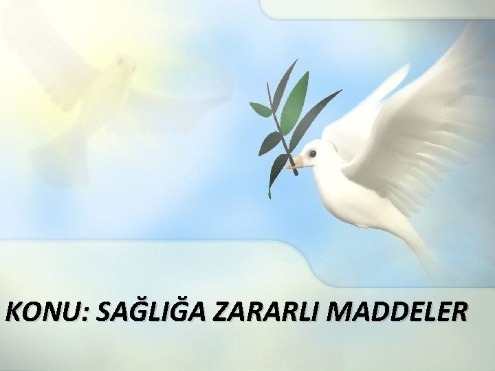 KONU: SAĞLIĞA ZARARLI MADDELER 