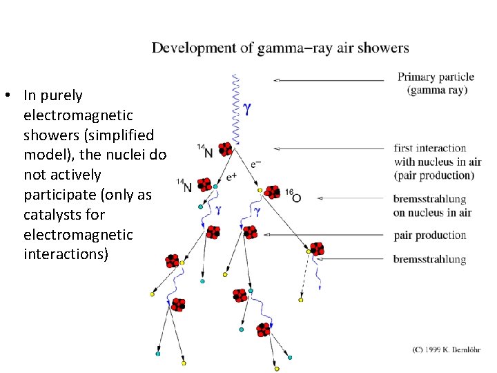  • In purely electromagnetic showers (simplified model), the nuclei do not actively participate