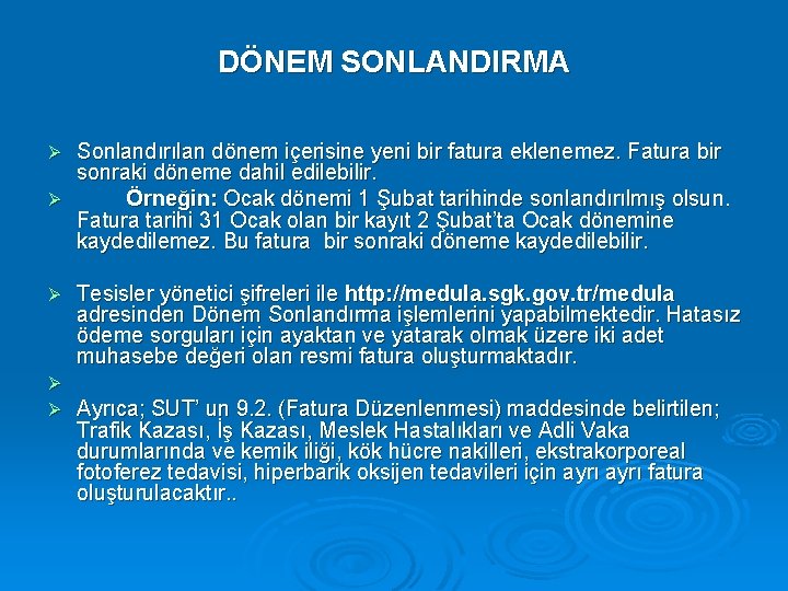 DÖNEM SONLANDIRMA Sonlandırılan dönem içerisine yeni bir fatura eklenemez. Fatura bir sonraki döneme dahil