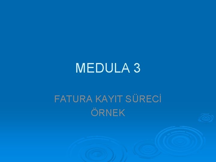 MEDULA 3 FATURA KAYIT SÜRECİ ÖRNEK 