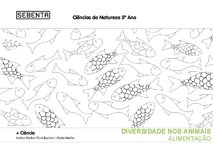 DIVERSIDADE NOS ANIMAIS ALIMENTAÇÃO 