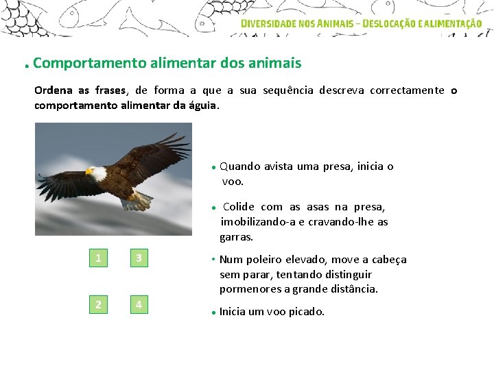 . Comportamento alimentar dos animais Ordena as frases, de forma a que a sua