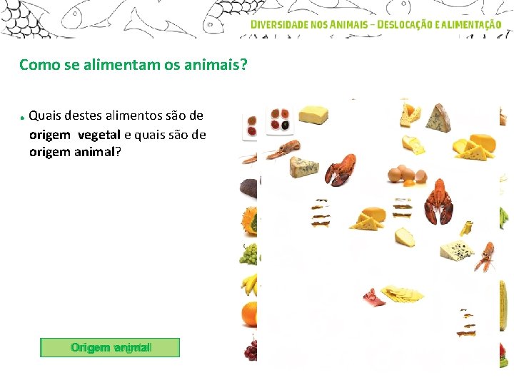 Como se alimentam os animais? . Quais destes alimentos são de origem vegetal e