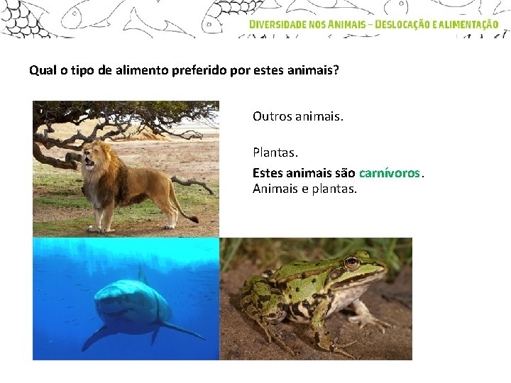 Qual o tipo de alimento preferido por estes animais? Outros animais. Plantas. Estes animais