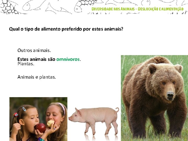 Qual o tipo de alimento preferido por estes animais? Outros animais. Estes animais são