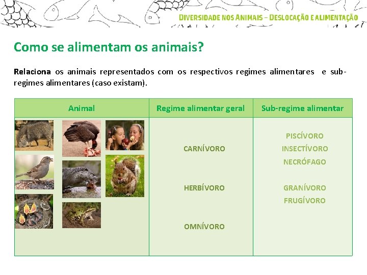 Como se alimentam os animais? Relaciona os animais representados com os respectivos regimes alimentares