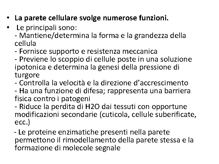  • La parete cellulare svolge numerose funzioni. • Le principali sono: - Mantiene/determina