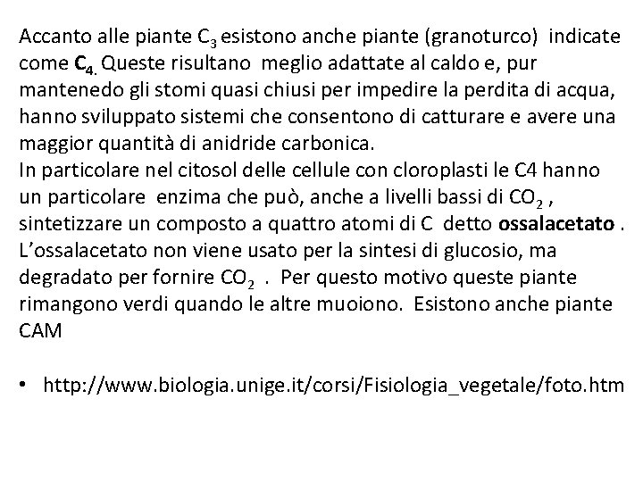 Accanto alle piante C 3 esistono anche piante (granoturco) indicate come C 4. Queste