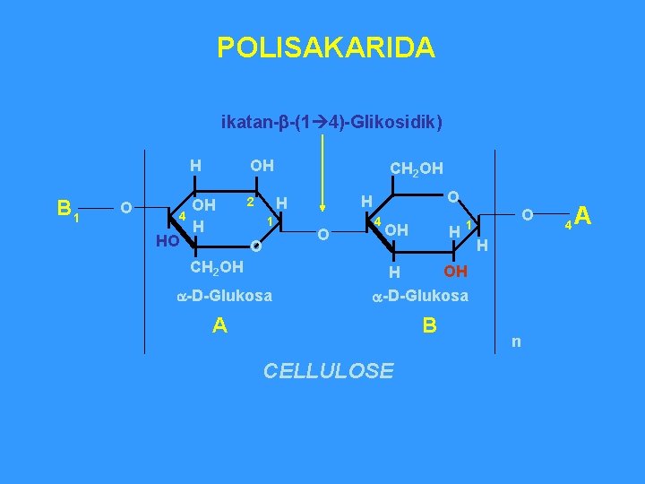 POLISAKARIDA ikatan-b-(1 4)-Glikosidik) B 1 O 4 HO H OH OH H 2 CH