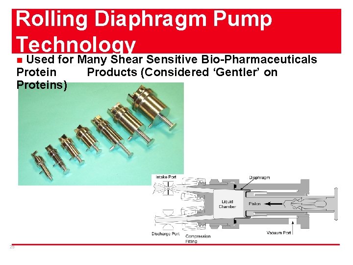 Rolling Diaphragm Pump Technology Used for Many Shear Sensitive Bio-Pharmaceuticals Protein Products (Considered ‘Gentler’