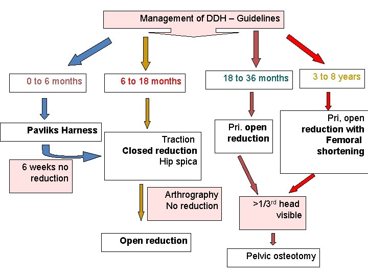 Management of DDH – Guidelines 0 to 6 months Pavliks Harness 6 weeks no