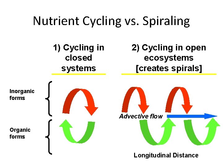 Nutrient Cycling vs. Spiraling 1) Cycling in closed systems 2) Cycling in open ecosystems