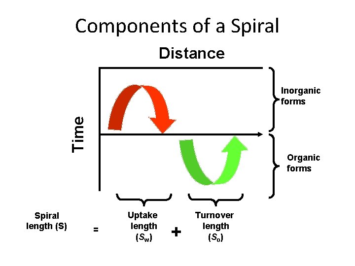 Components of a Spiral Distance Time Inorganic forms Spiral length (S) Organic forms =