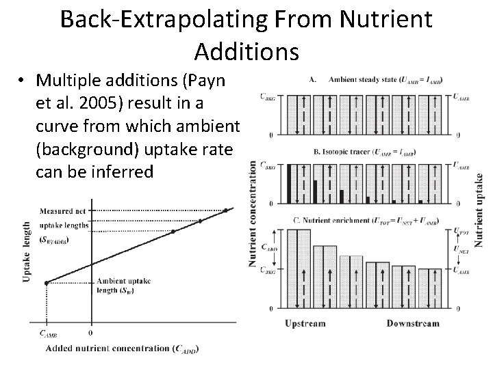 Back-Extrapolating From Nutrient Additions • Multiple additions (Payn et al. 2005) result in a