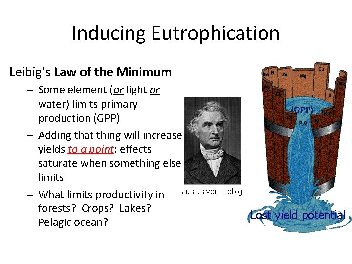 Inducing Eutrophication Leibig’s Law of the Minimum – Some element (or light or water)