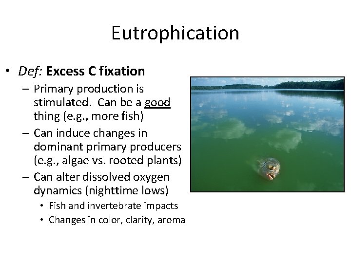 Eutrophication • Def: Excess C fixation – Primary production is stimulated. Can be a