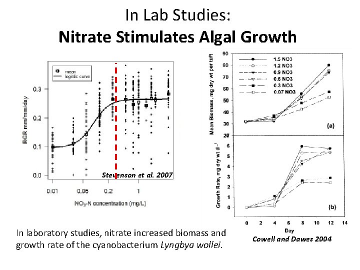 In Lab Studies: Nitrate Stimulates Algal Growth Stevenson et al. 2007 In laboratory studies,
