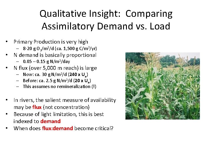 Qualitative Insight: Comparing Assimilatory Demand vs. Load • Primary Production is very high –