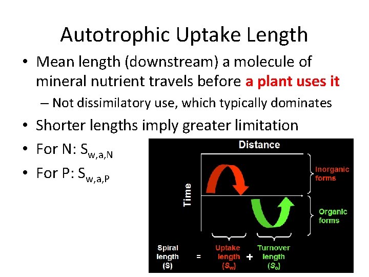 Autotrophic Uptake Length • Mean length (downstream) a molecule of mineral nutrient travels before