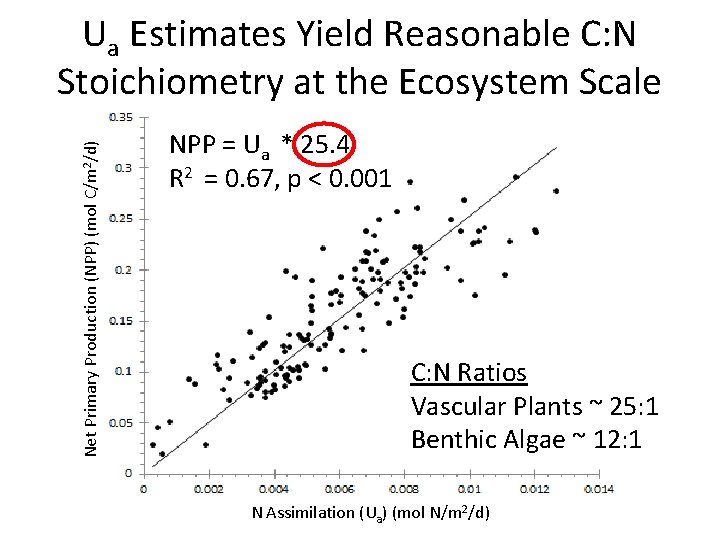Net Primary Production (NPP) (mol C/m 2/d) Ua Estimates Yield Reasonable C: N Stoichiometry