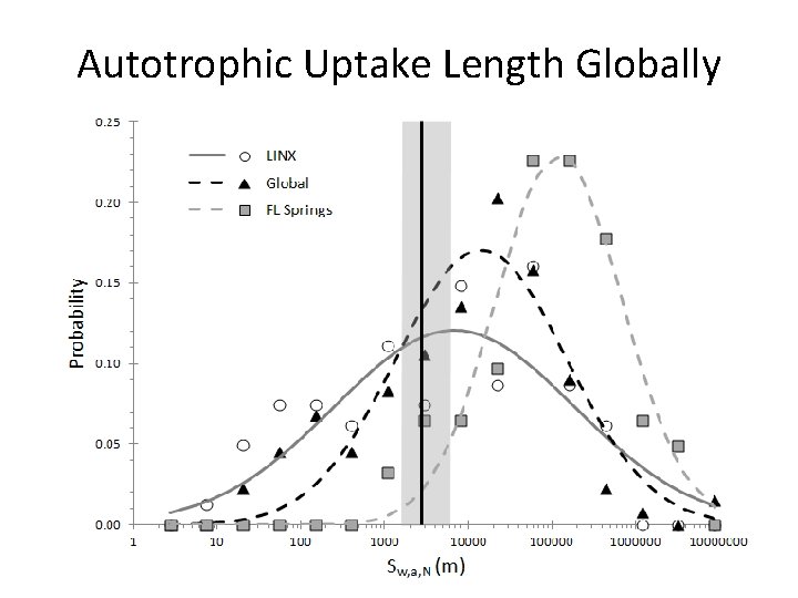 Autotrophic Uptake Length Globally 