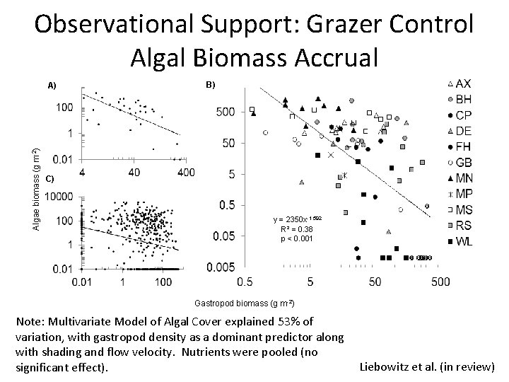 Observational Support: Grazer Control Algal Biomass Accrual Algae biomass (g m-2) A) B) C)