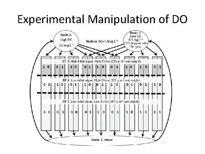 Experimental Manipulation of DO 
