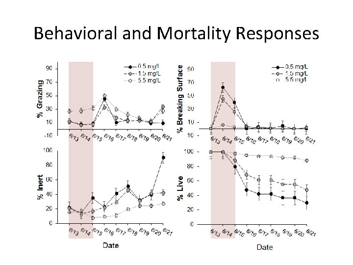 Behavioral and Mortality Responses 