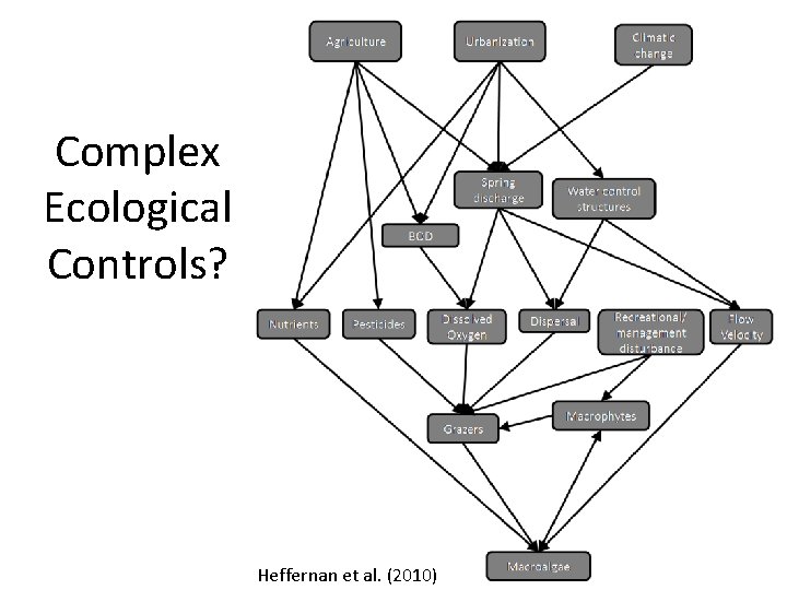 Complex Ecological Controls? Heffernan et al. (2010) 