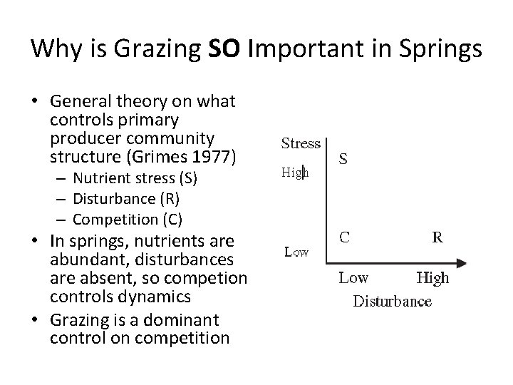 Why is Grazing SO Important in Springs • General theory on what controls primary
