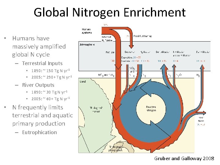 Global Nitrogen Enrichment • Humans have massively amplified global N cycle – Terrestrial Inputs