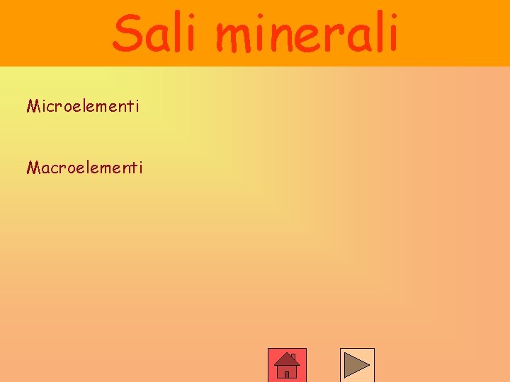 Sali minerali Microelementi Macroelementi 