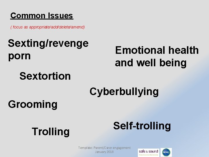 Common Issues ( focus as appropriate/add/delete/amend) Sexting/revenge porn Emotional health and well being Sextortion