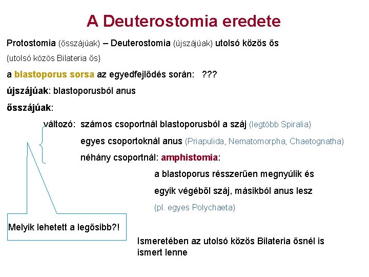 A Deuterostomia eredete Protostomia (ősszájúak) – Deuterostomia (újszájúak) utolsó közös ős (utolsó közös Bilateria