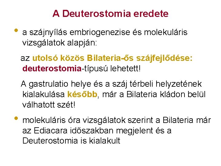 A Deuterostomia eredete • a szájnyílás embriogenezise és molekuláris vizsgálatok alapján: az utolsó közös