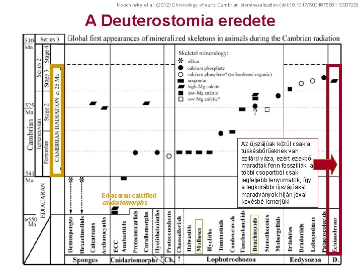 Kouchinsky et al. (2012) Chronology of early Cambrian biomineralization (doi: 10. 1017/S 0016756811000720) A