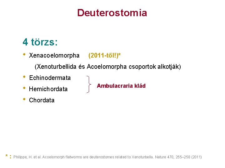 Deuterostomia 4 törzs: • Xenacoelomorpha (2011 -től!)* (Xenoturbellida és Acoelomorpha csoportok alkotják) • •