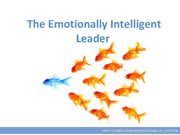  The Emotionally Intelligent Leader www. healthcareteamperformance. com/nha 