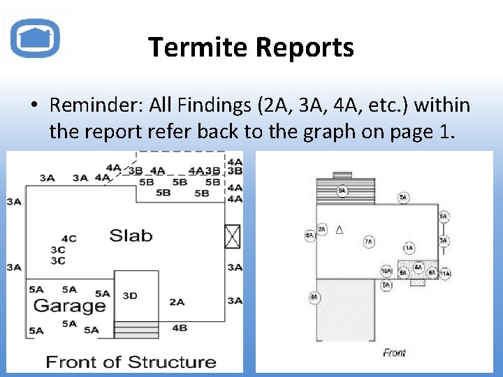 Termite Reports • Reminder: All Findings (2 A, 3 A, 4 A, etc. )