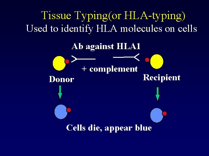 Tissue Typing(or HLA-typing) Used to identify HLA molecules on cells Ab against HLA 1