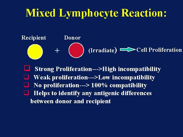 Mixed Lymphocyte Reaction: Recipient Donor + q (Irradiate) Cell Proliferation Strong Proliferation--->High incompatibility q