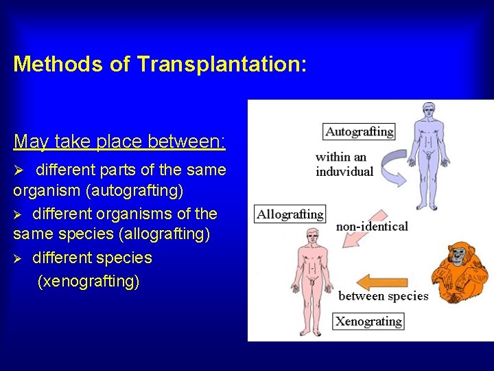 Methods of Transplantation: May take place between: Ø different parts of the same organism